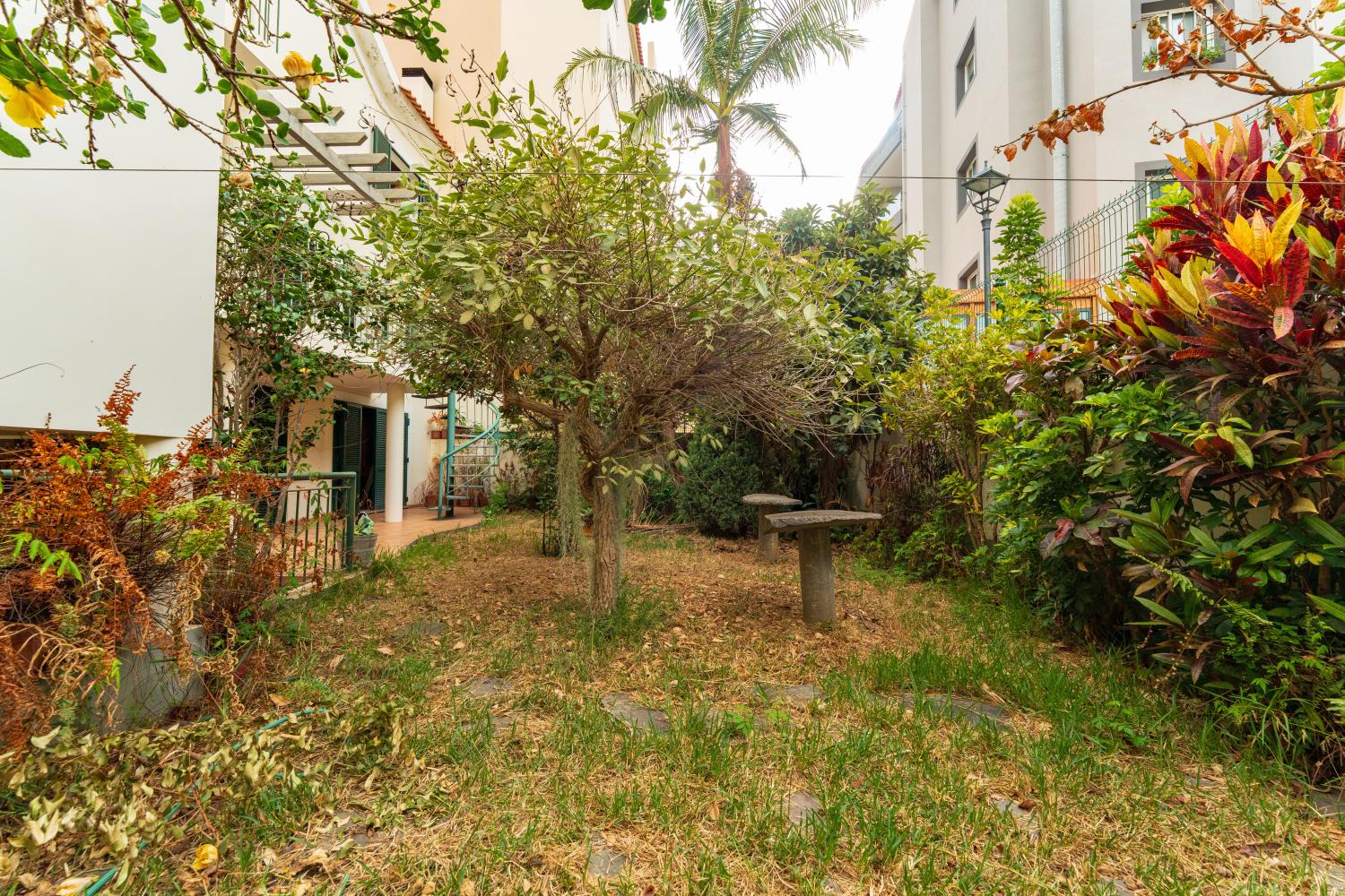  à vendre villa Ribeira Brava Ribeira Brava 29