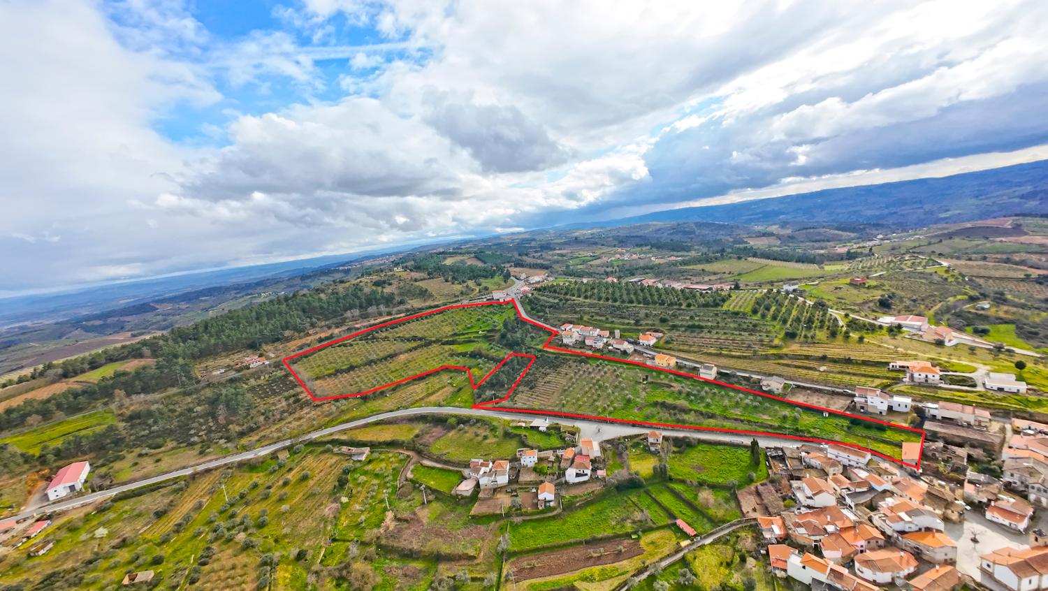  à vendre ferme Poço do Canto Mêda 1