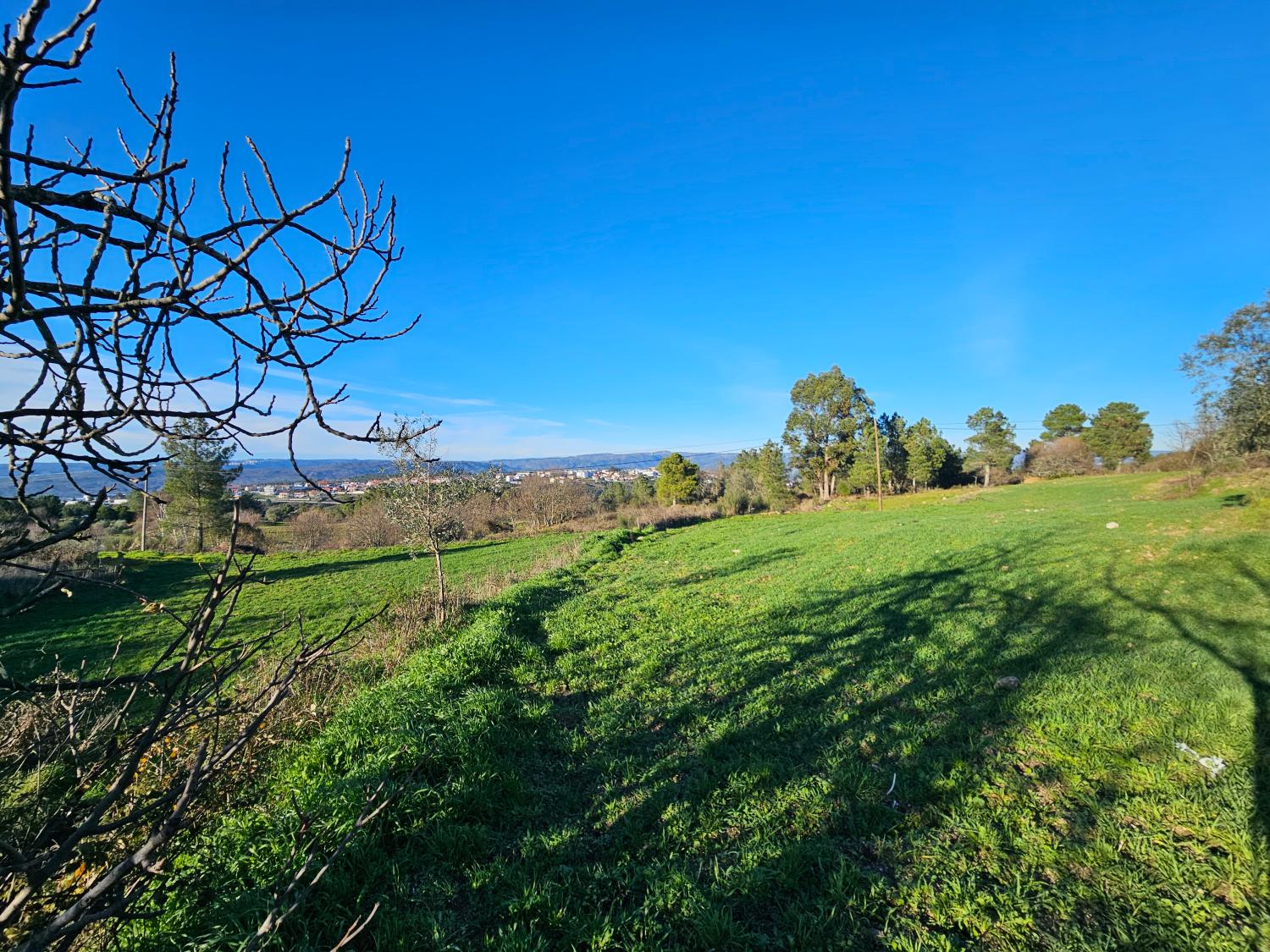  à vendre ferme Aldeia da Serra Celorico Da Beira 4
