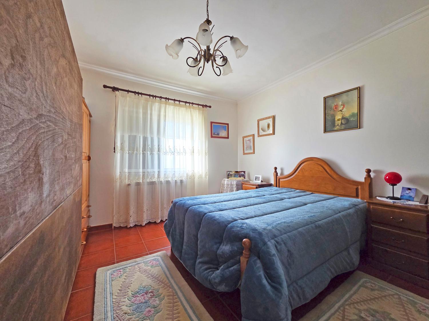  à vendre ferme Celorico da Beira Celorico Da Beira 12