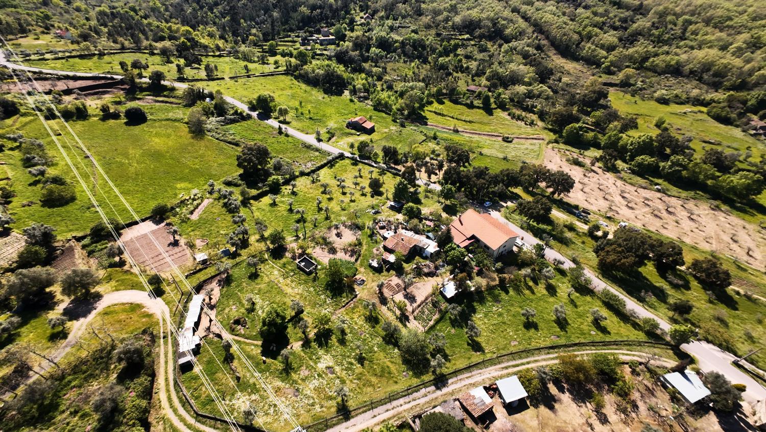  à vendre ferme Celorico da Beira Celorico Da Beira 2