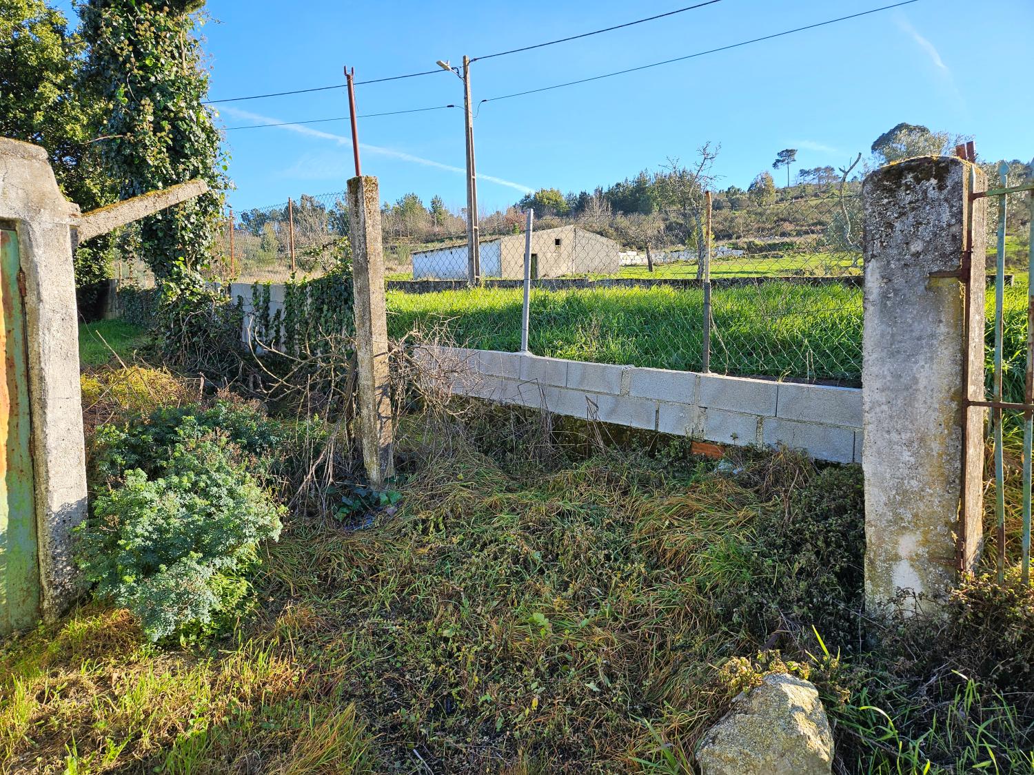  à vendre ferme Aldeia da Serra Celorico Da Beira 17