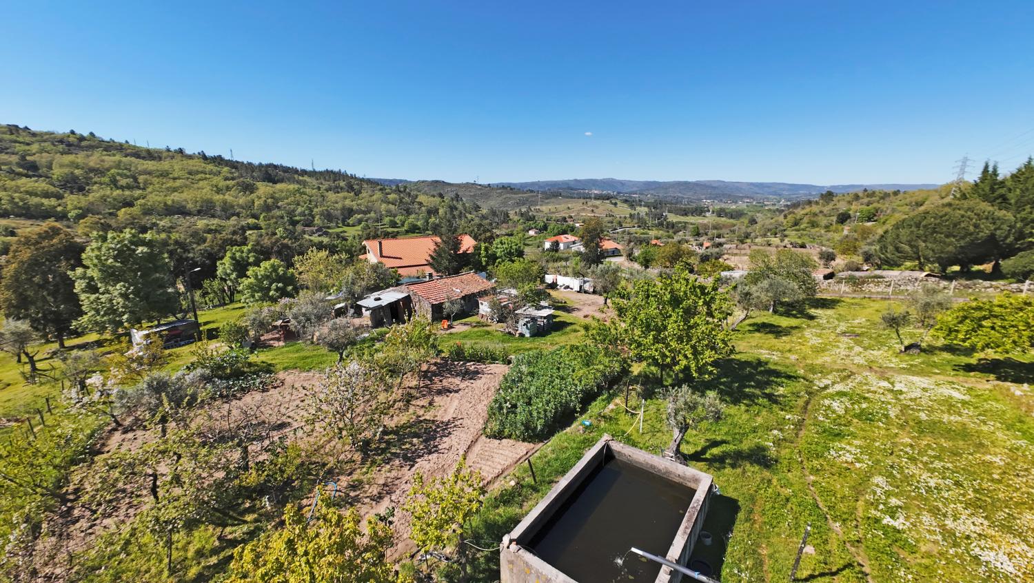  à vendre ferme Celorico da Beira Celorico Da Beira 5