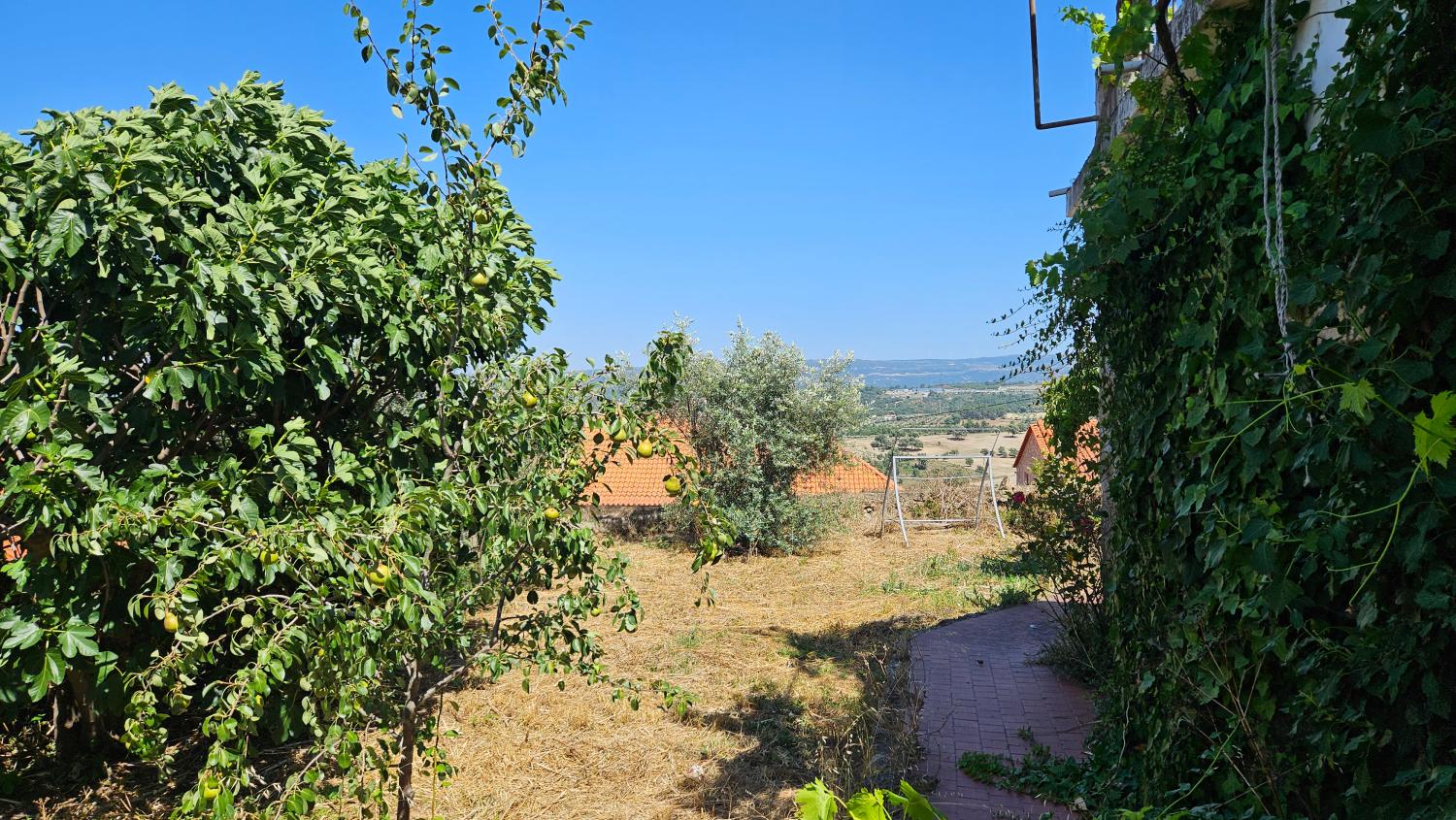  à vendre maison bourgeoise Celorico da Beira Celorico Da Beira 9