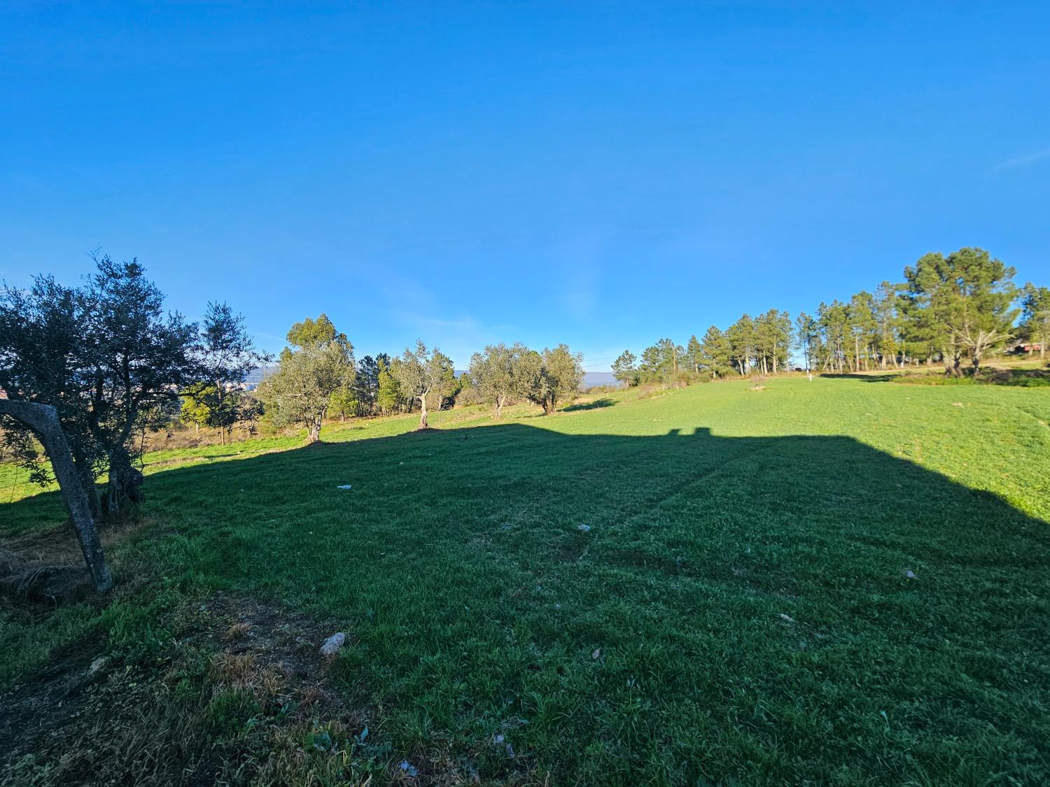  à vendre ferme Aldeia da Serra Celorico Da Beira 5