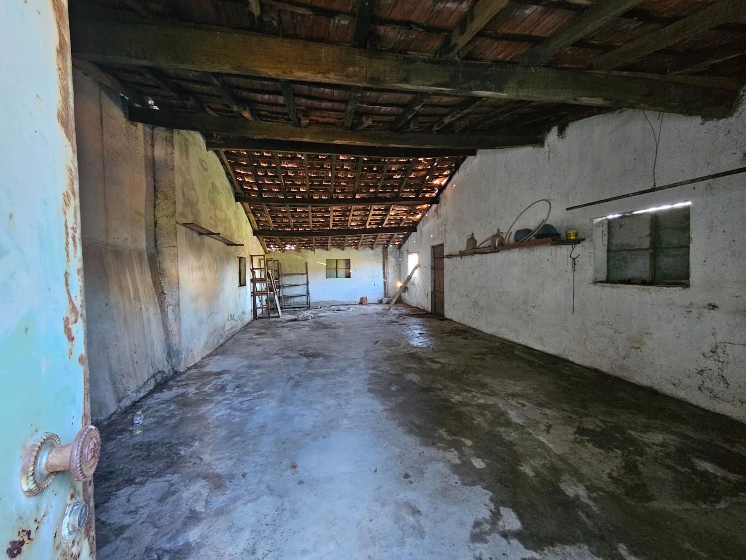  à vendre ferme Aldeia da Serra Celorico Da Beira 13
