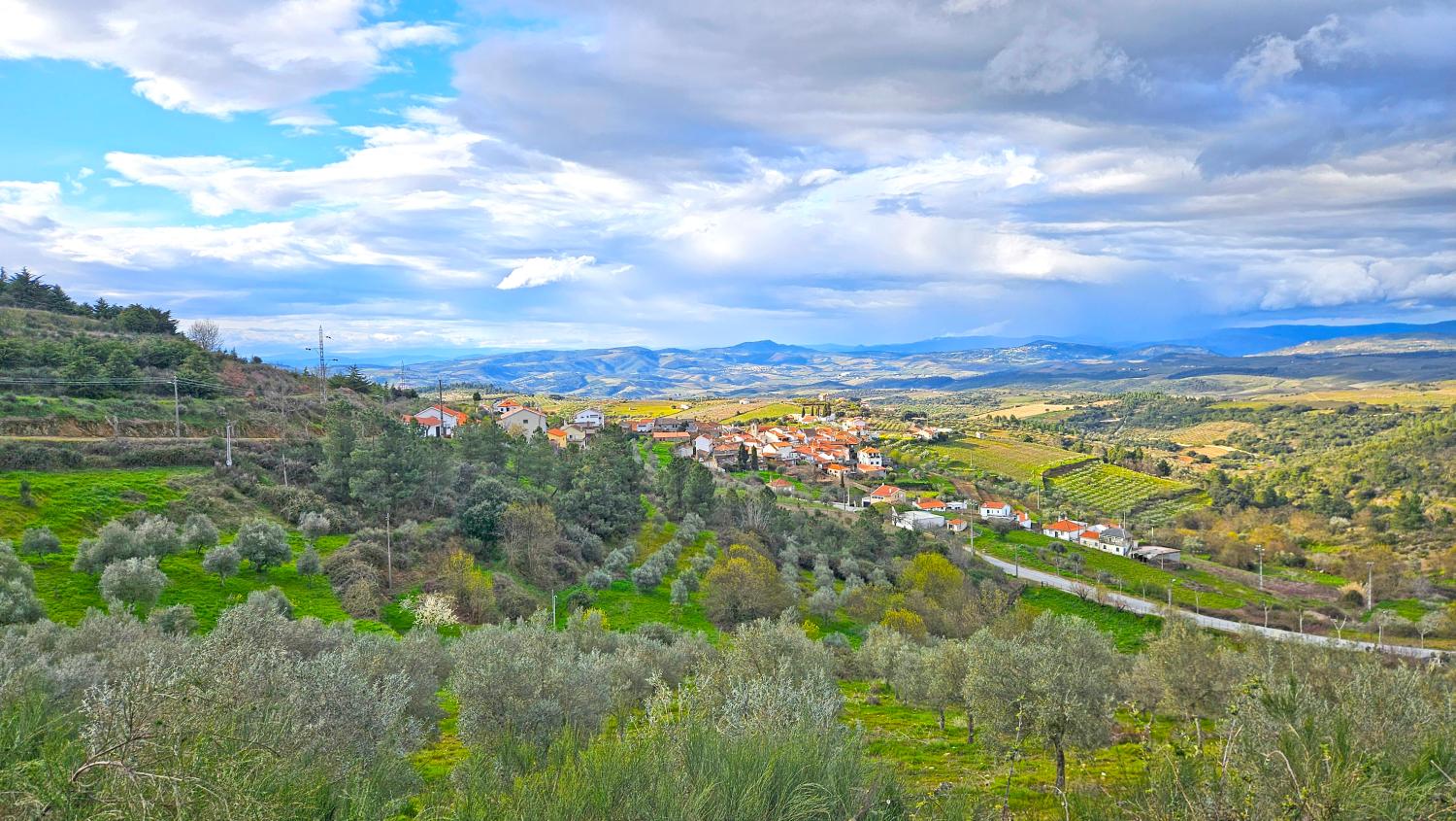  à vendre ferme Poço do Canto Mêda 12