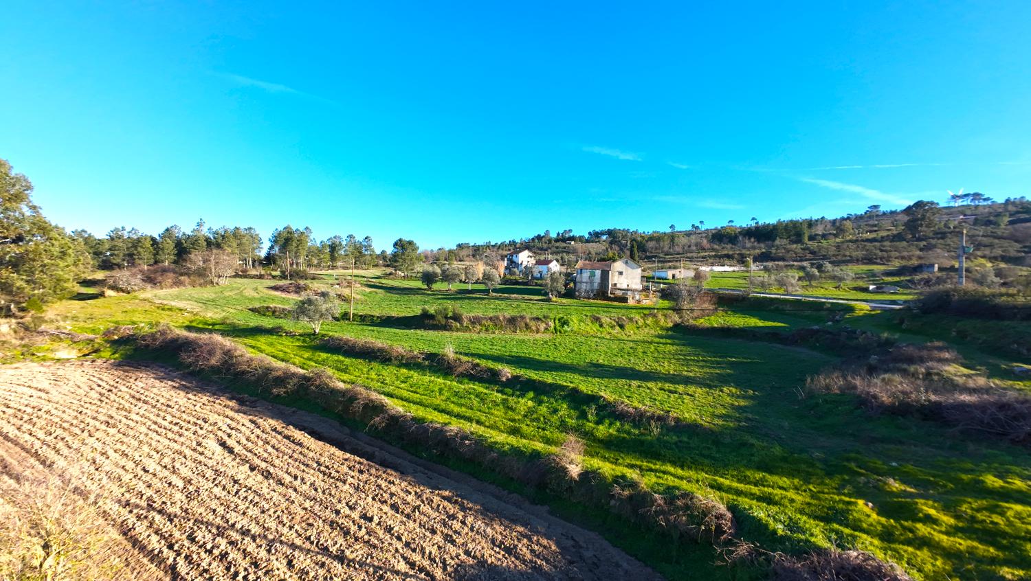  à vendre ferme Aldeia da Serra Celorico Da Beira 6