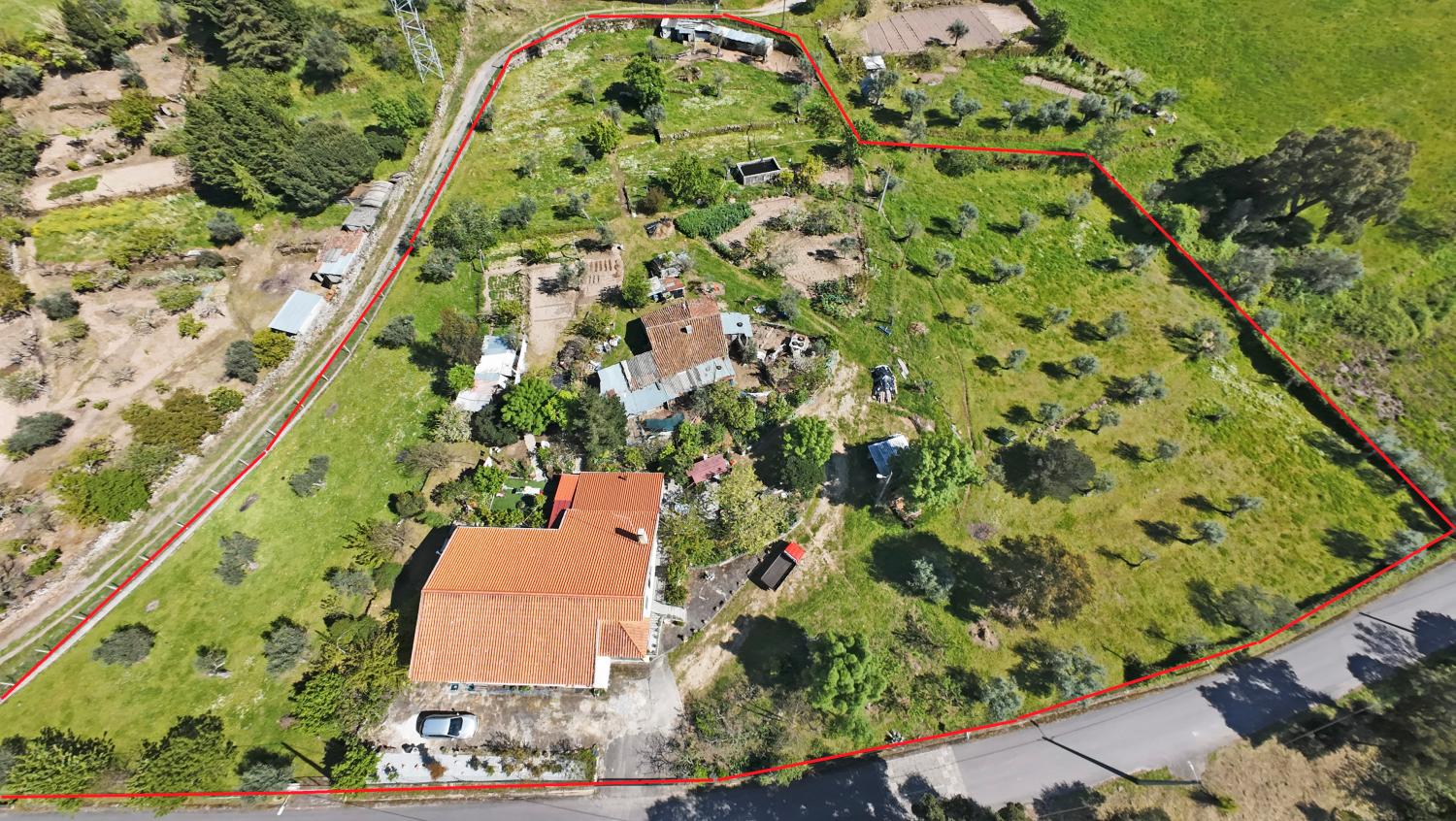  à vendre ferme Celorico da Beira Celorico Da Beira 6
