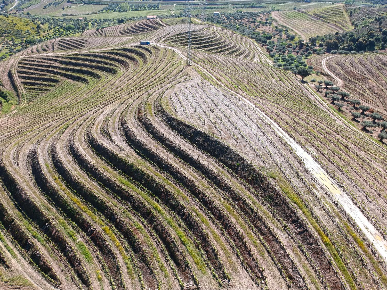  à vendre vignoble Vila Nova de Foz Côa Vila Nova De Foz Côa 11