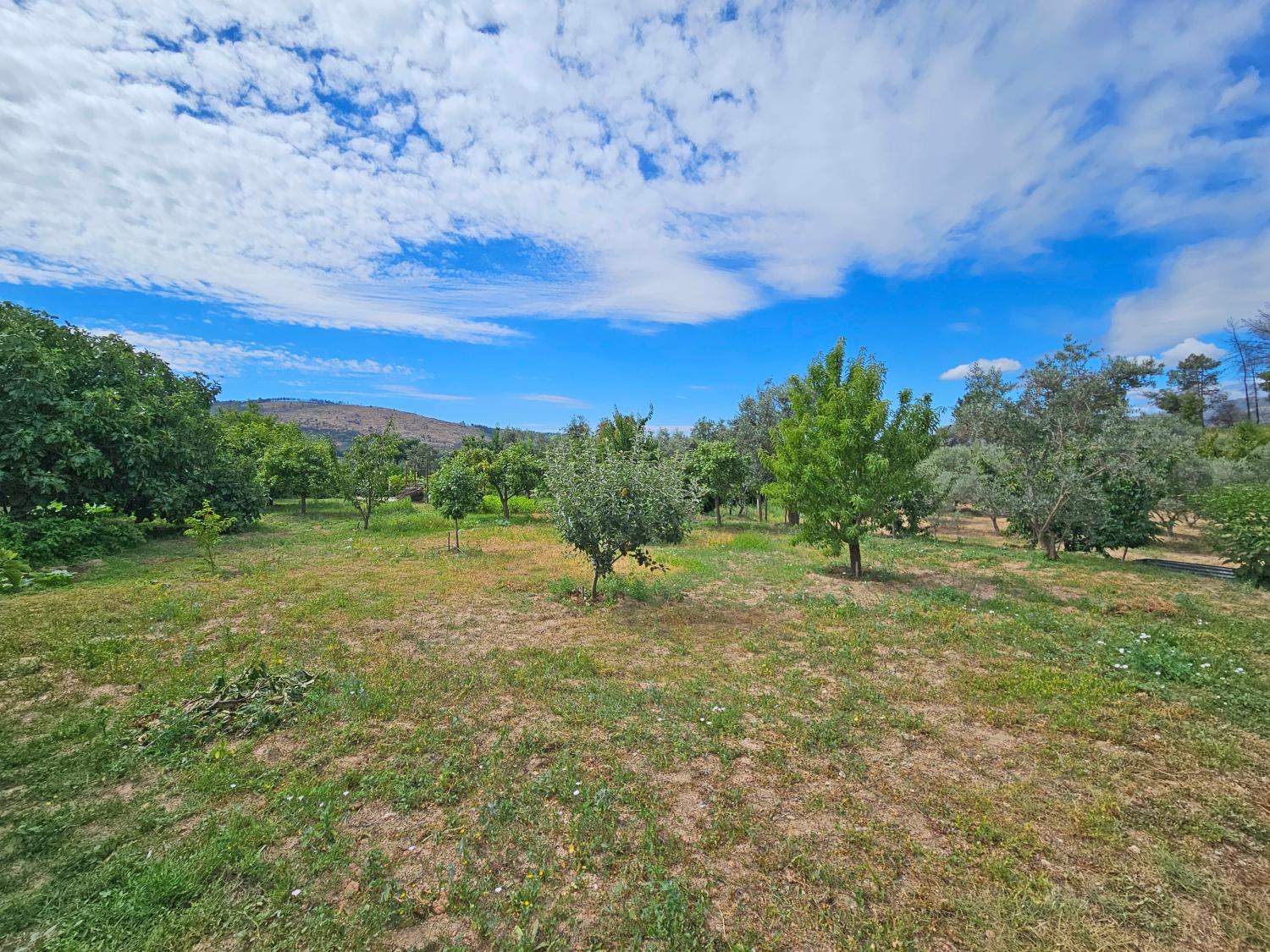  à vendre maison Gonçalo Guarda 10