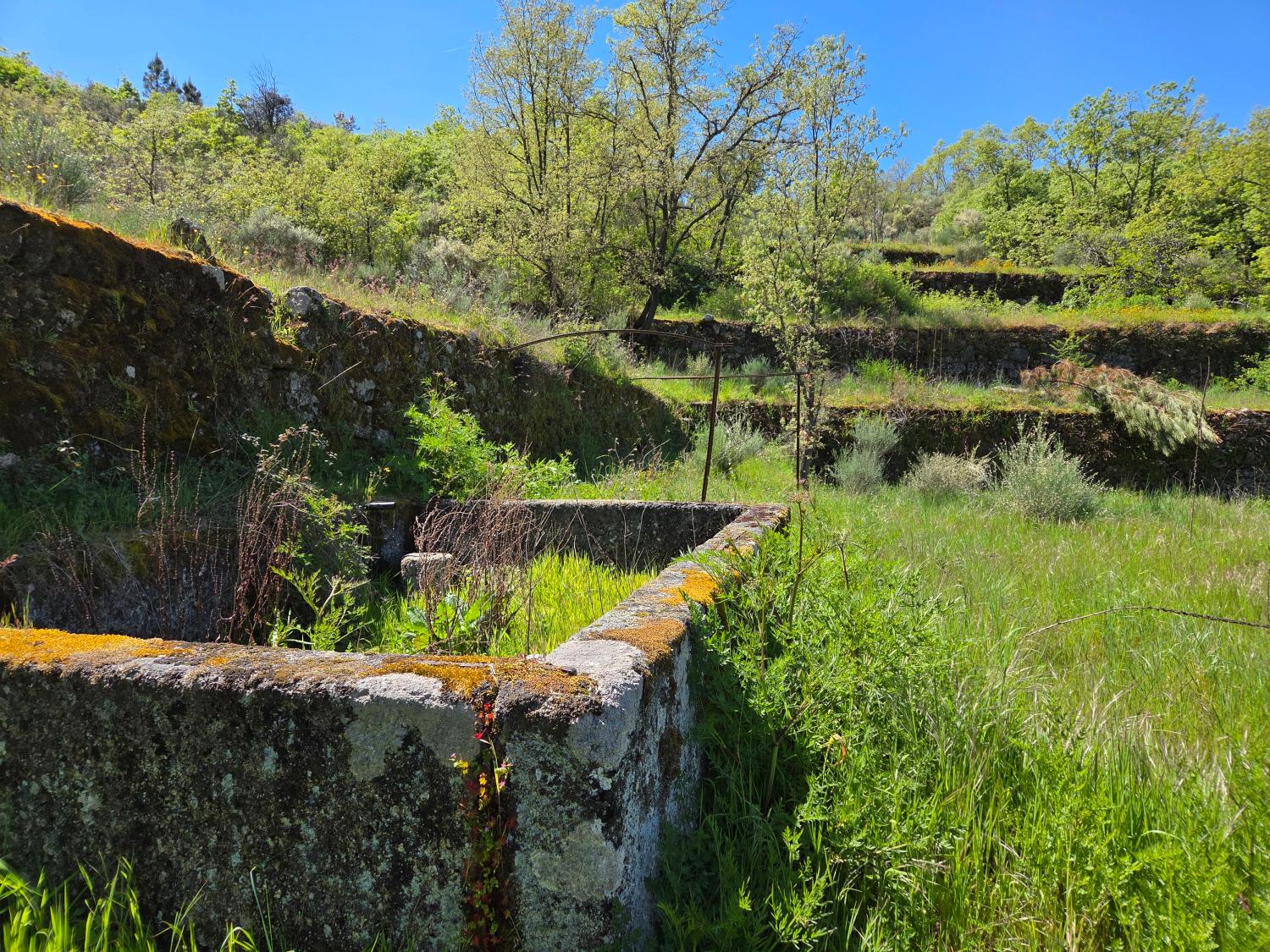  à vendre ferme Lajeosa do Mondego Celorico Da Beira 11