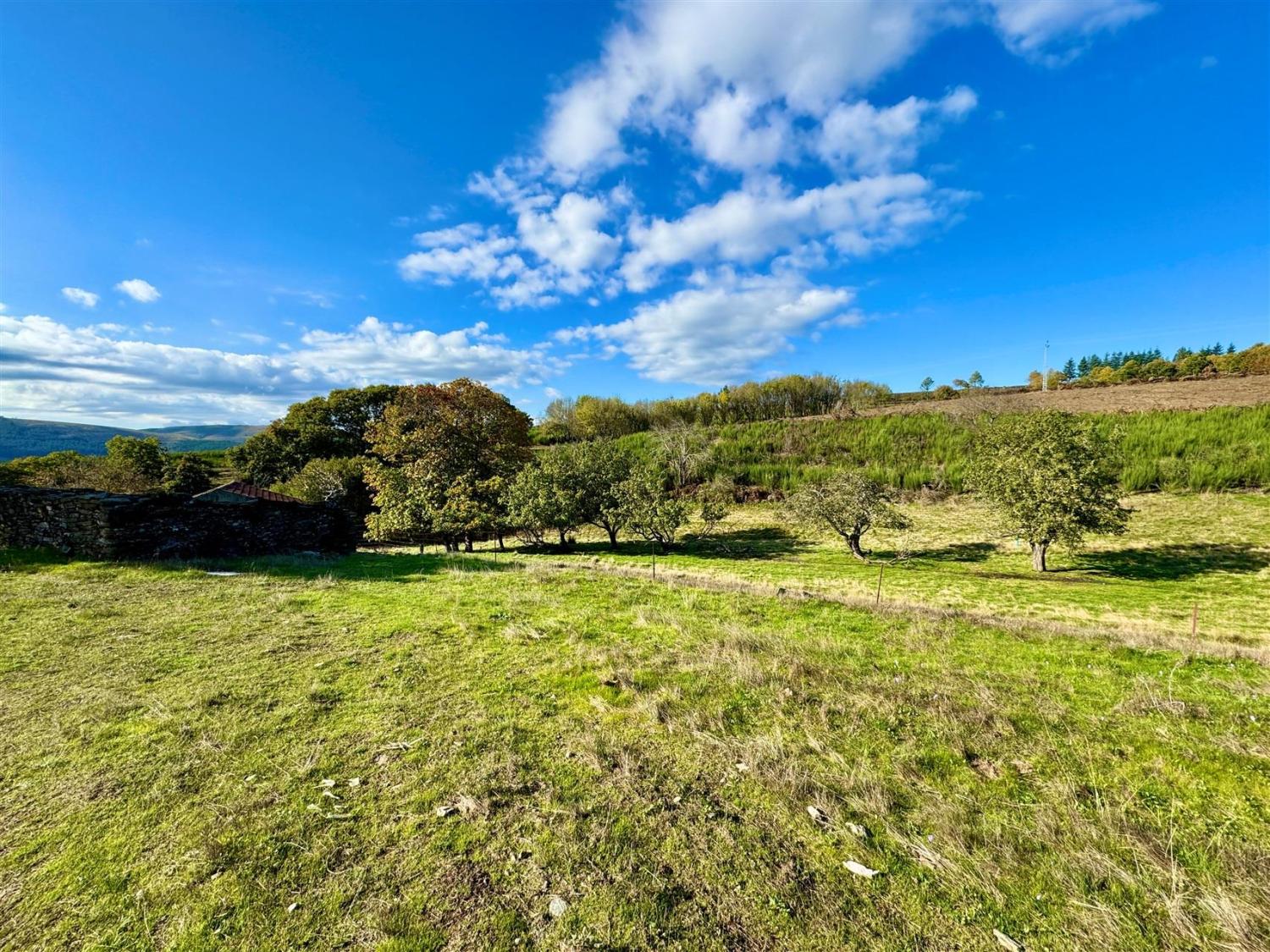  à vendre ferme Videmonte Guarda 4