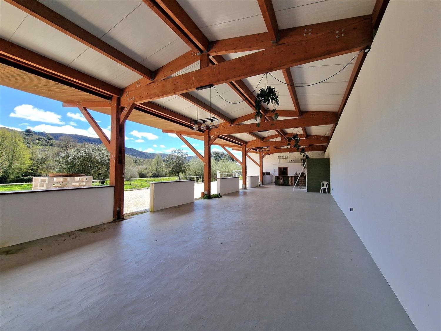  à vendre propriété Celorico da Beira Celorico Da Beira 16