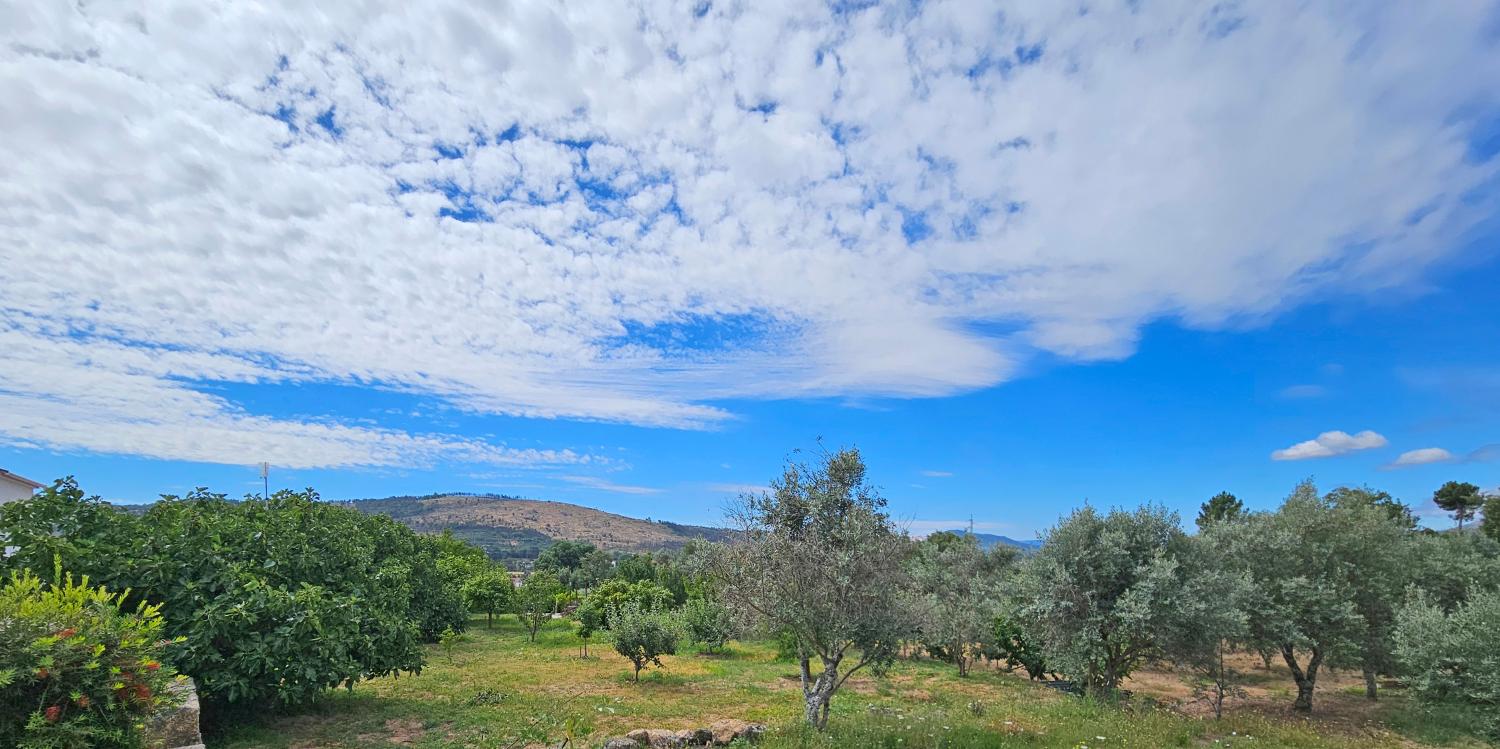  à vendre maison Gonçalo Guarda 12