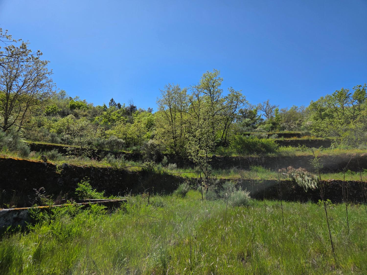  à vendre ferme Lajeosa do Mondego Celorico Da Beira 4