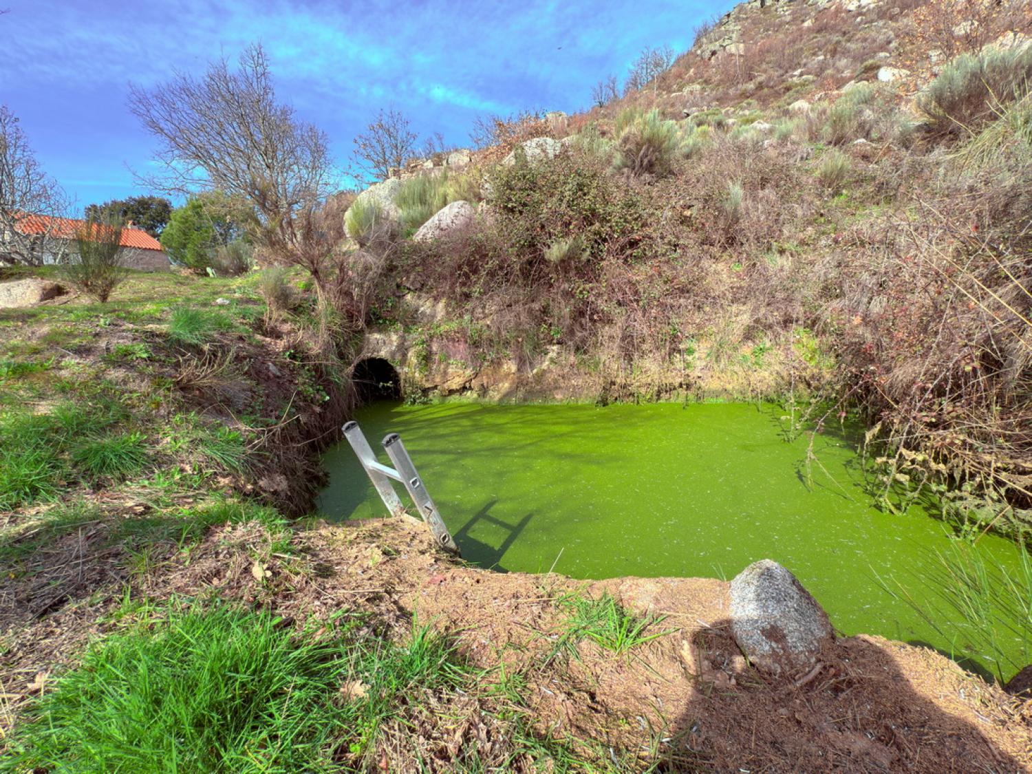  à vendre ferme Pousafoles do Bispo Sabugal 36