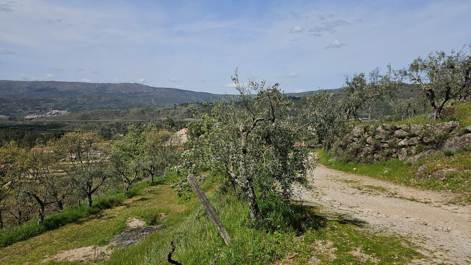  à vendre maison Benespera Guarda 6