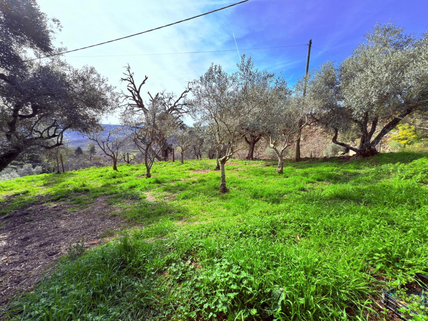  à vendre ferme Pousafoles do Bispo Sabugal 42