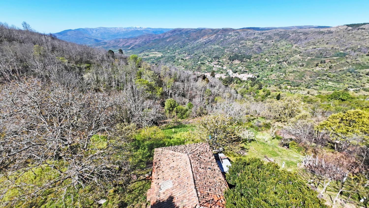  à vendre ferme Famalicão Guarda 9