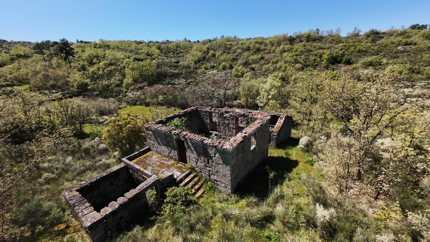  à vendre ferme Lajeosa do Mondego Celorico Da Beira 1
