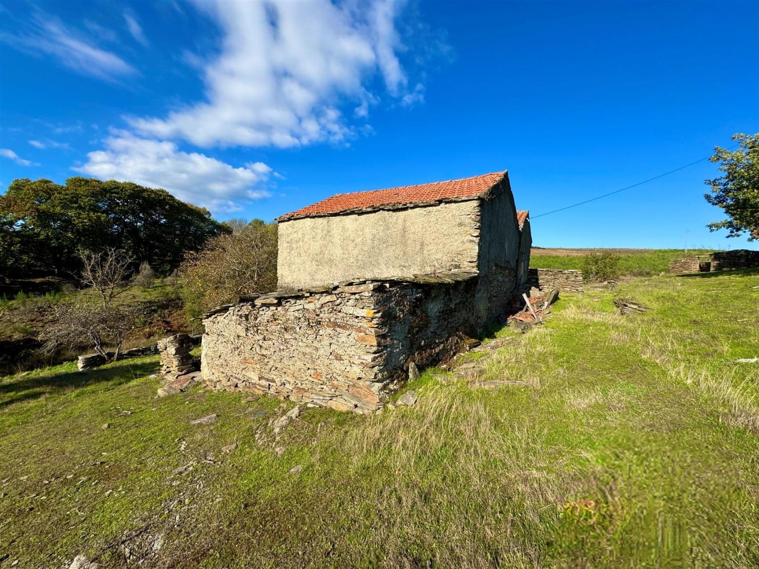  à vendre ferme Videmonte Guarda 9