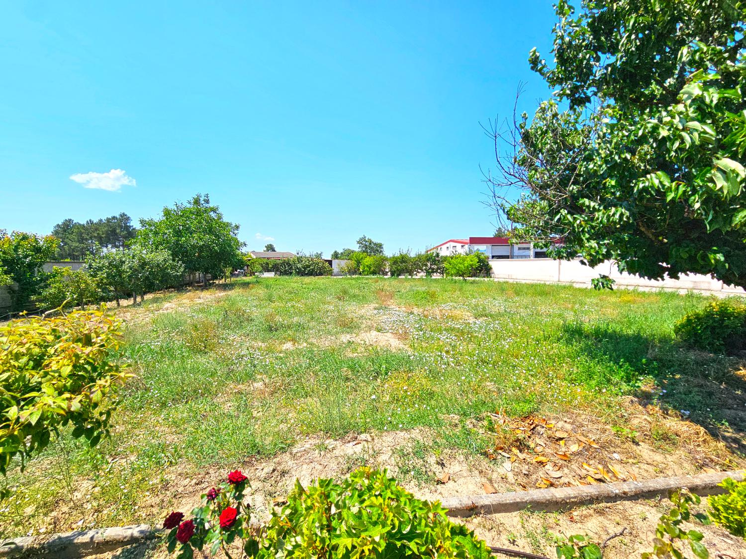  à vendre maison indépendant Souro Pires Pinhel 14