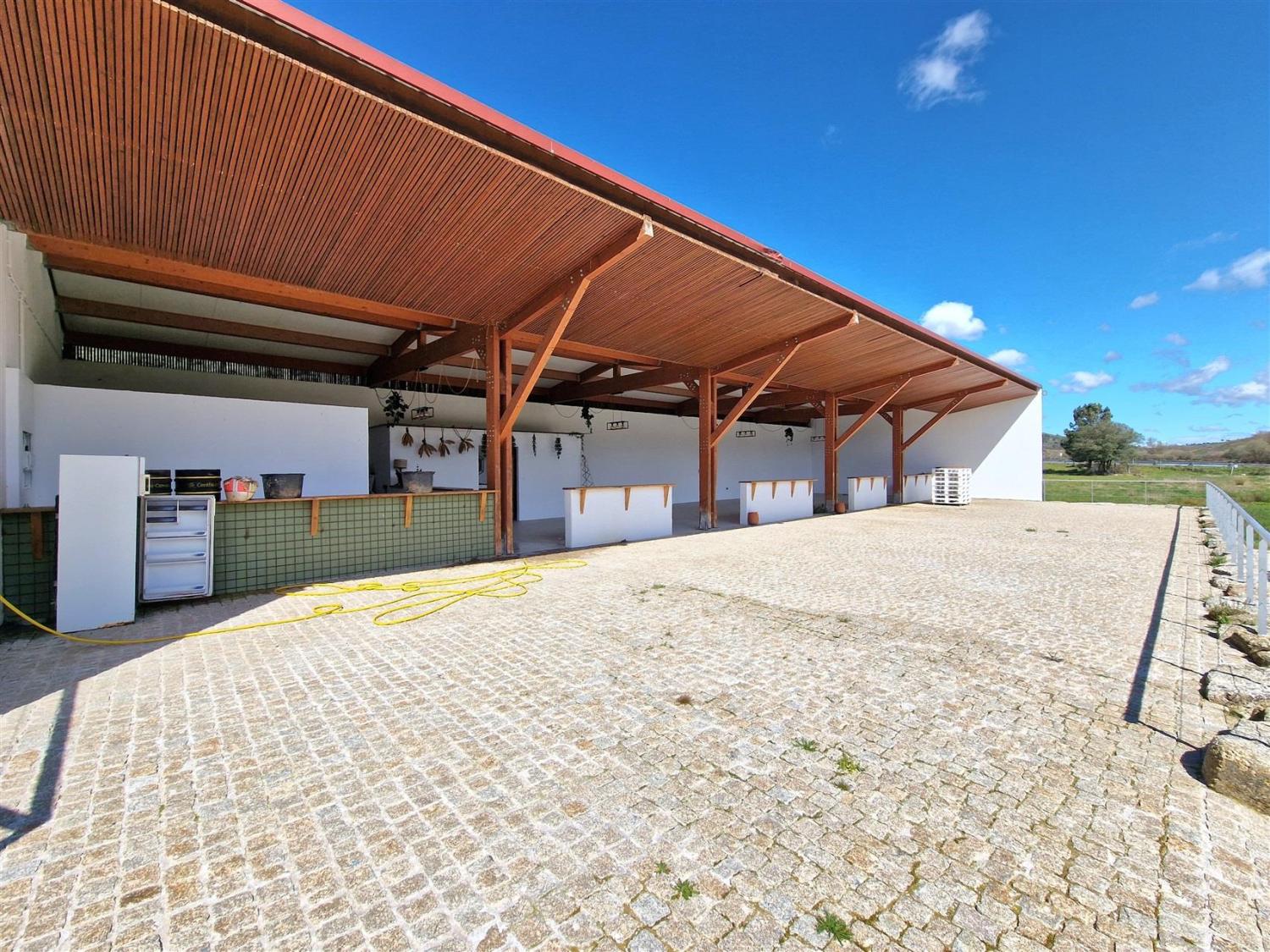  à vendre propriété Celorico da Beira Celorico Da Beira 15
