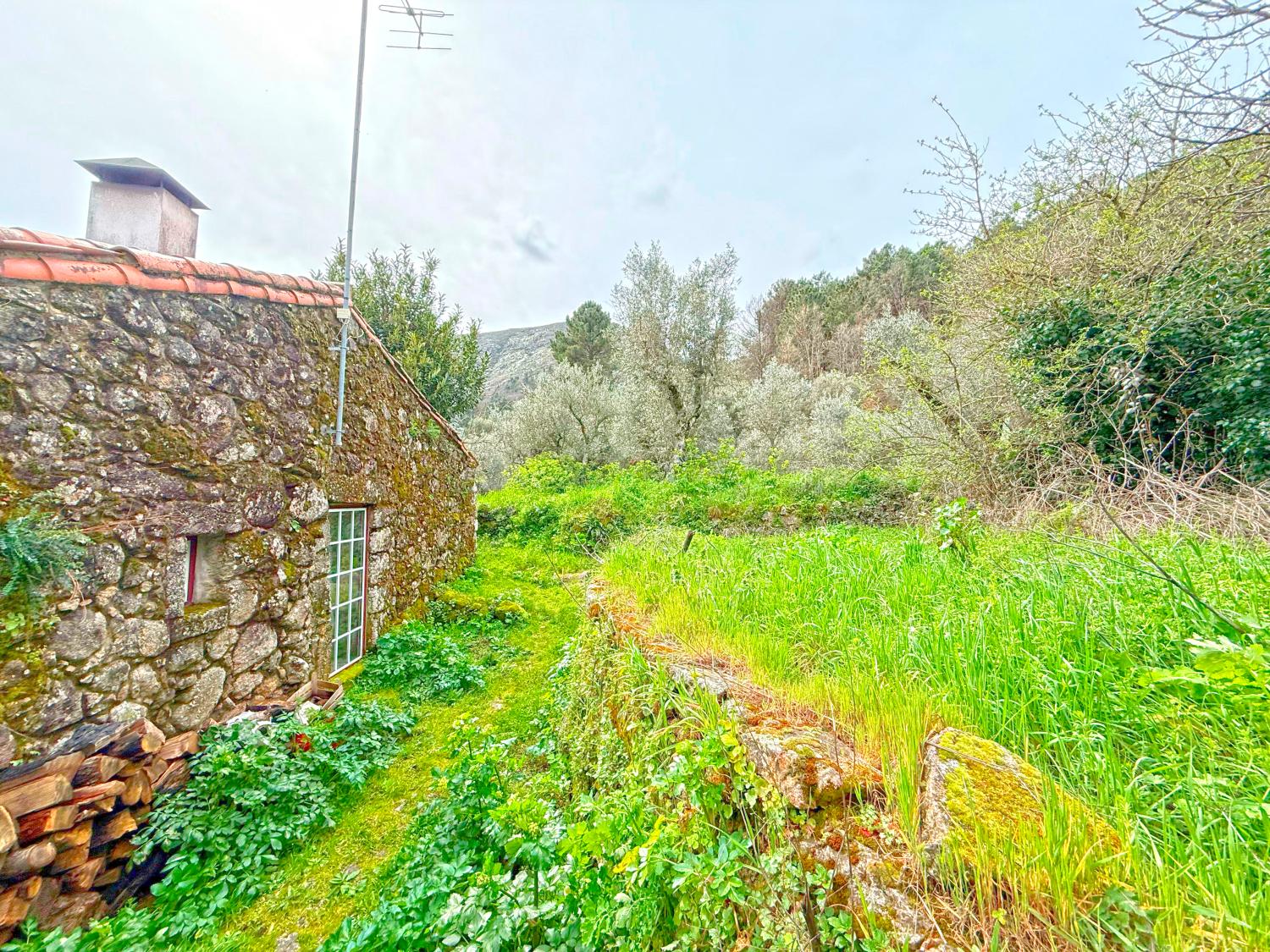  à vendre maison Vila Soeiro Guarda 5