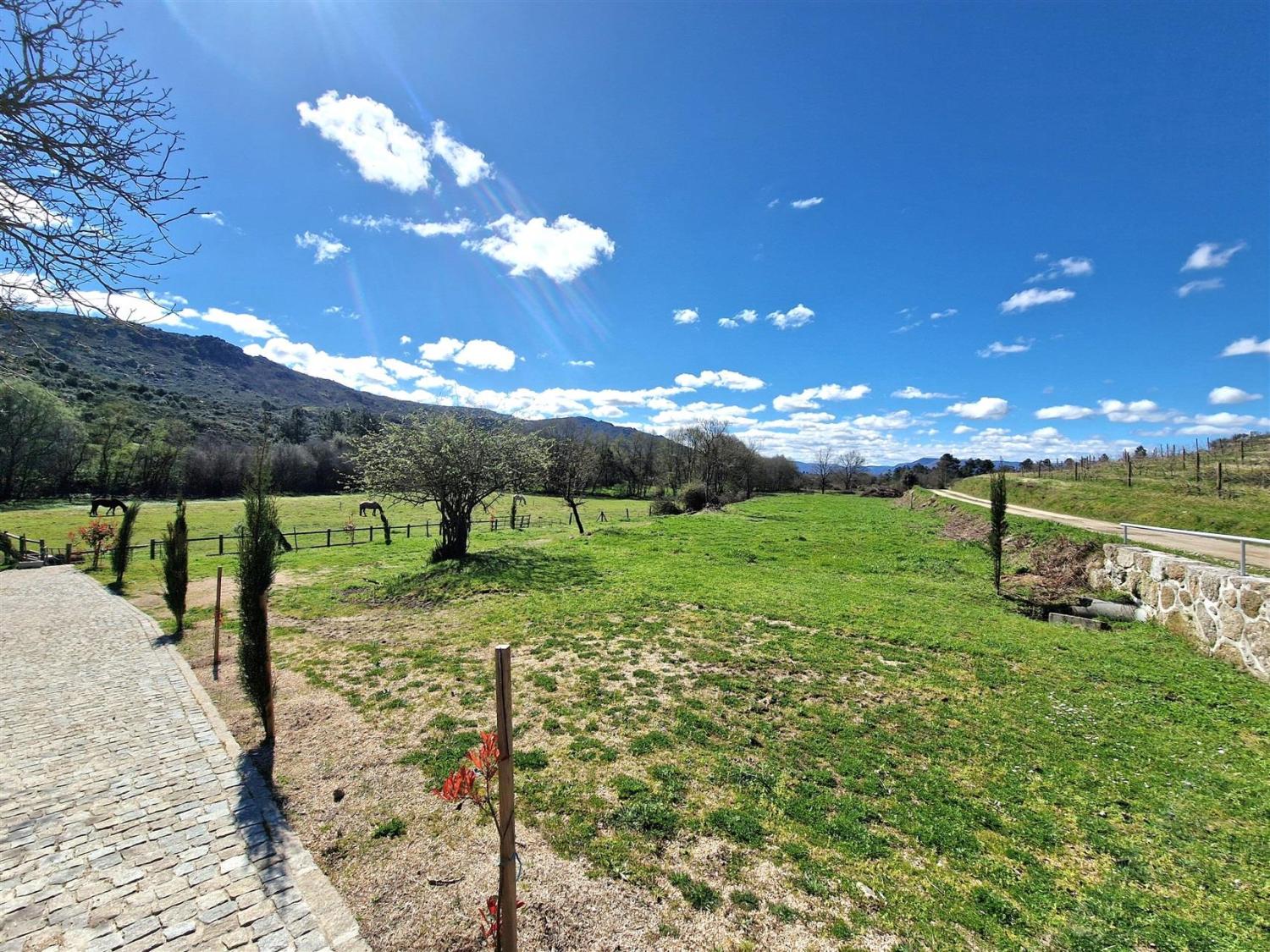  à vendre propriété Celorico da Beira Celorico Da Beira 19