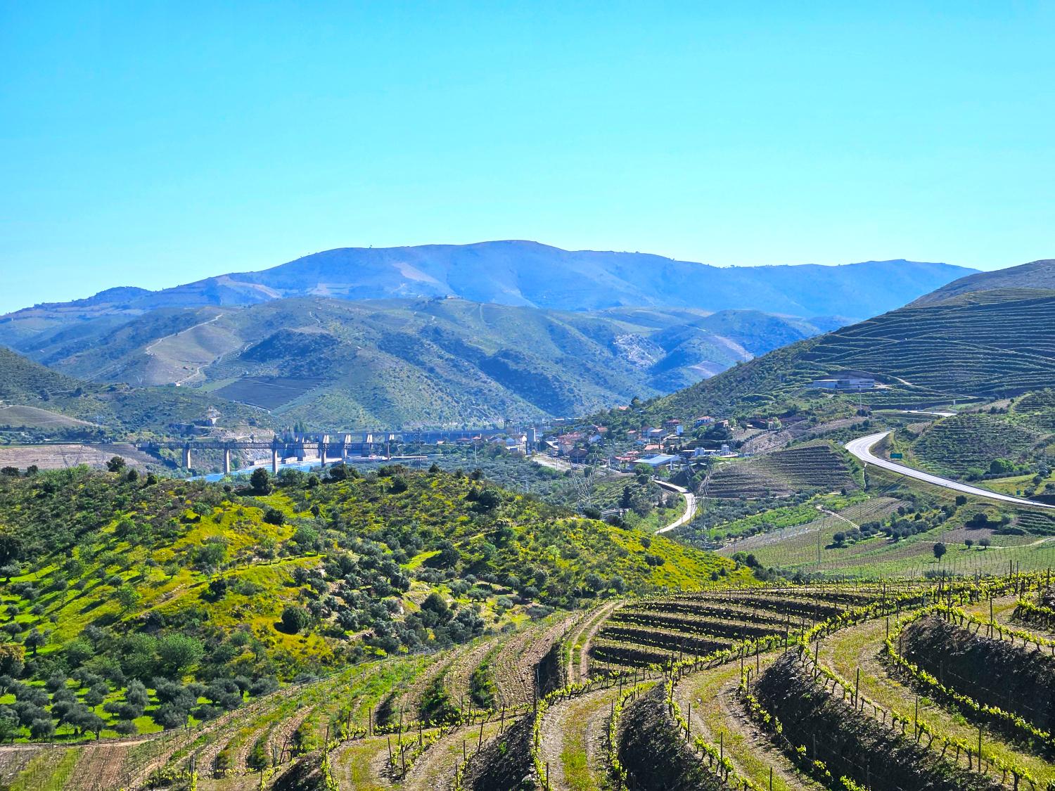  à vendre vignoble Vila Nova de Foz Côa Vila Nova De Foz Côa 10