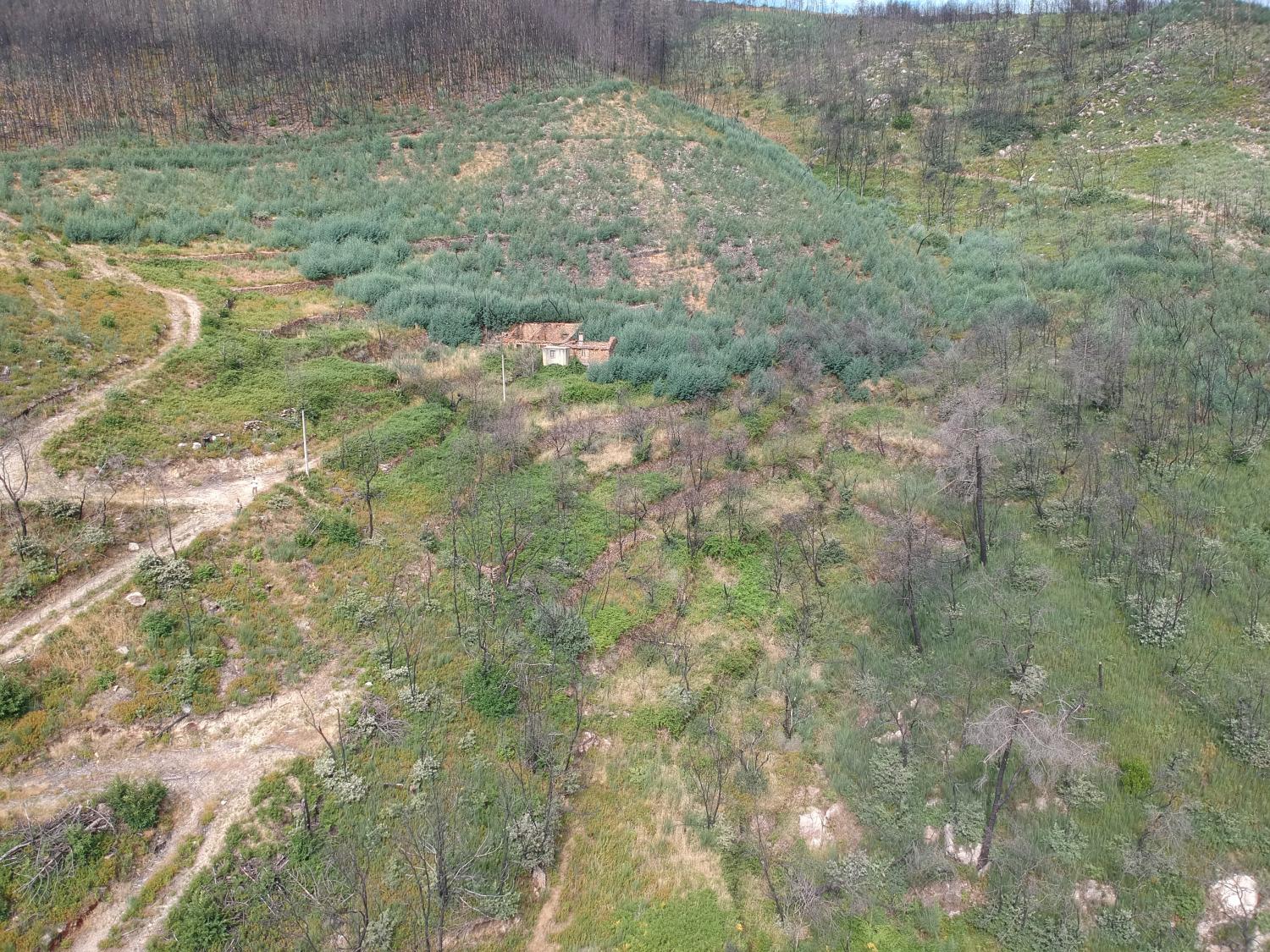  à vendre terrain Valhelhas Guarda 3