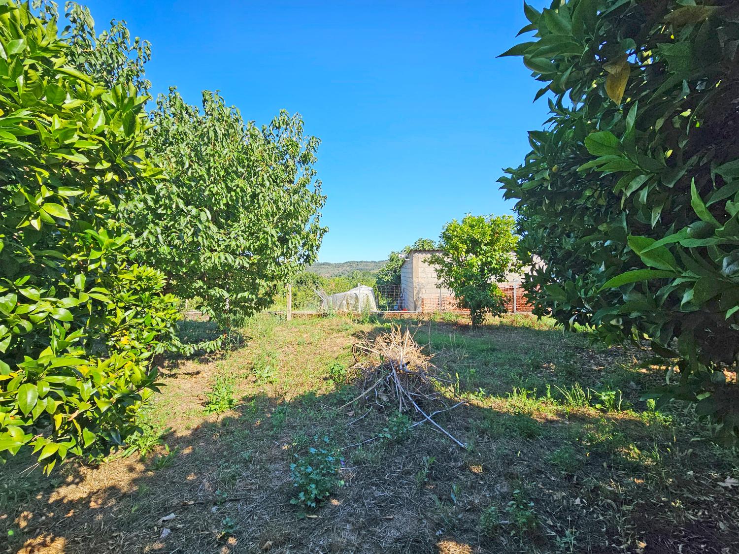 à vendre maison Orjais Covilhã 3