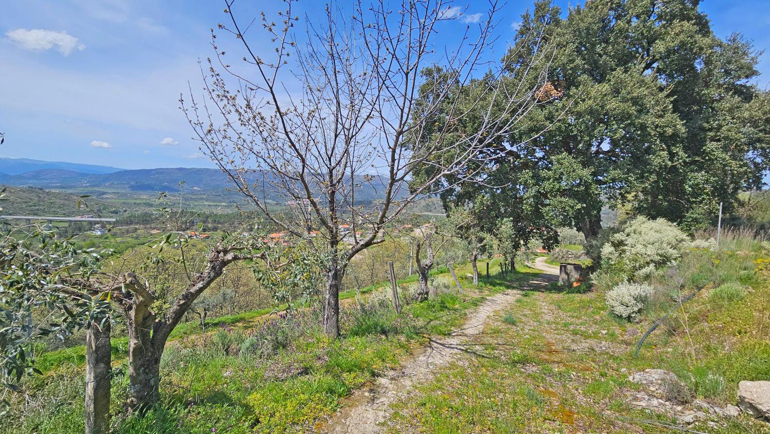  à vendre maison Benespera Guarda 8