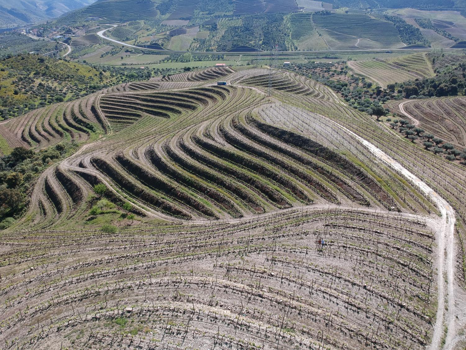  à vendre vignoble Vila Nova de Foz Côa Vila Nova De Foz Côa 12