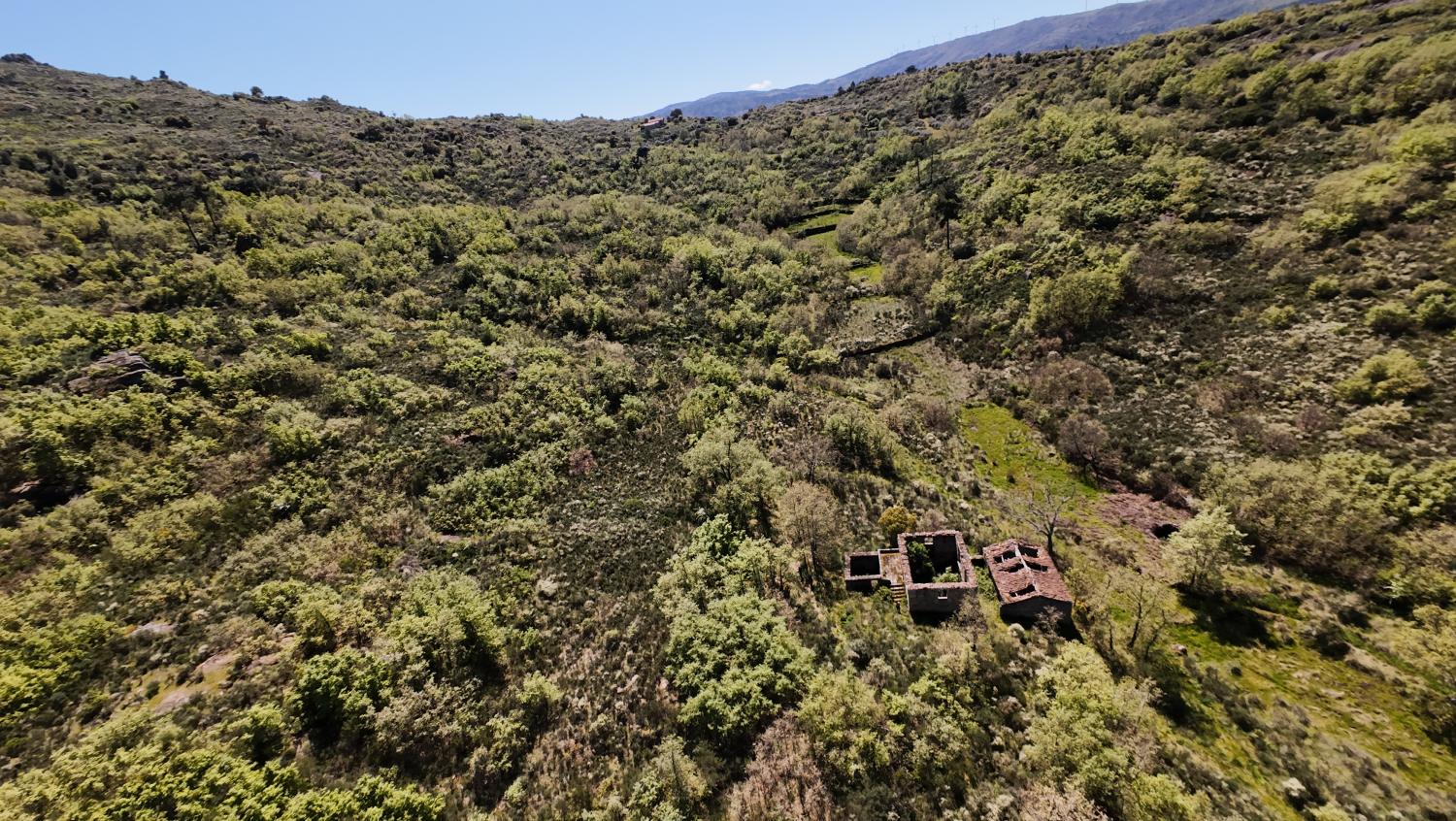 à vendre ferme Lajeosa do Mondego Celorico Da Beira 3
