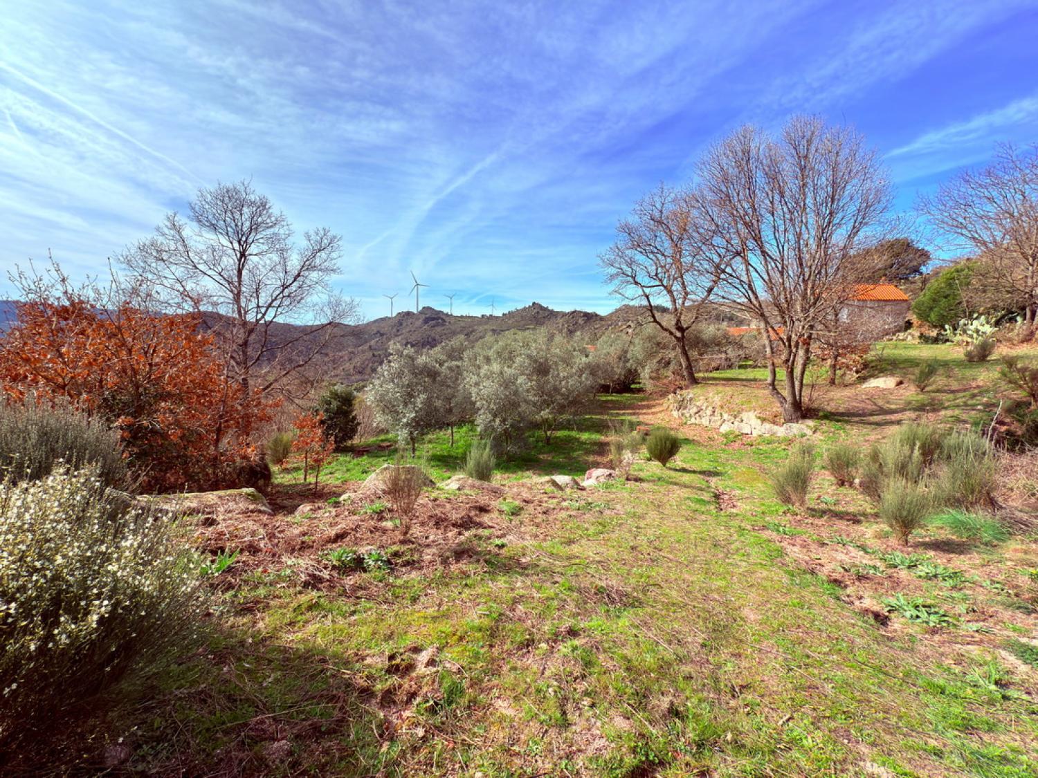  à vendre ferme Pousafoles do Bispo Sabugal 37