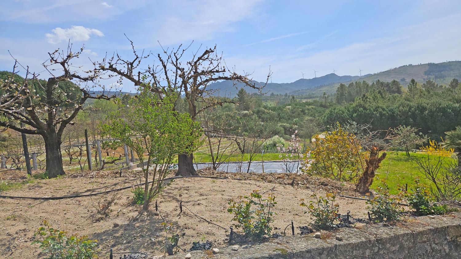  à vendre ferme Vela Guarda 7