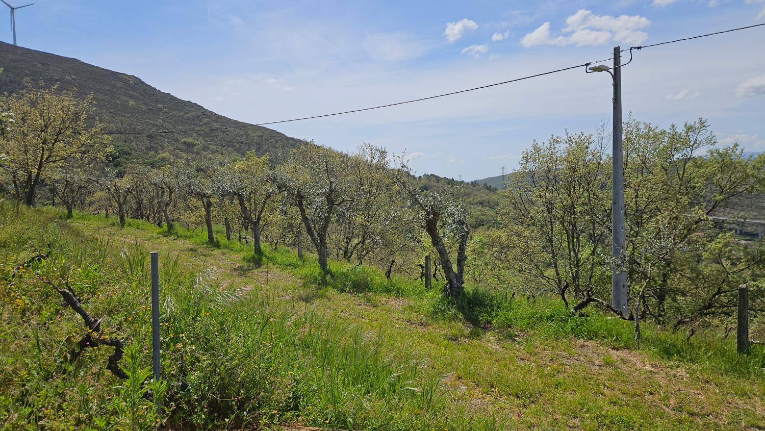  à vendre maison Benespera Guarda 5