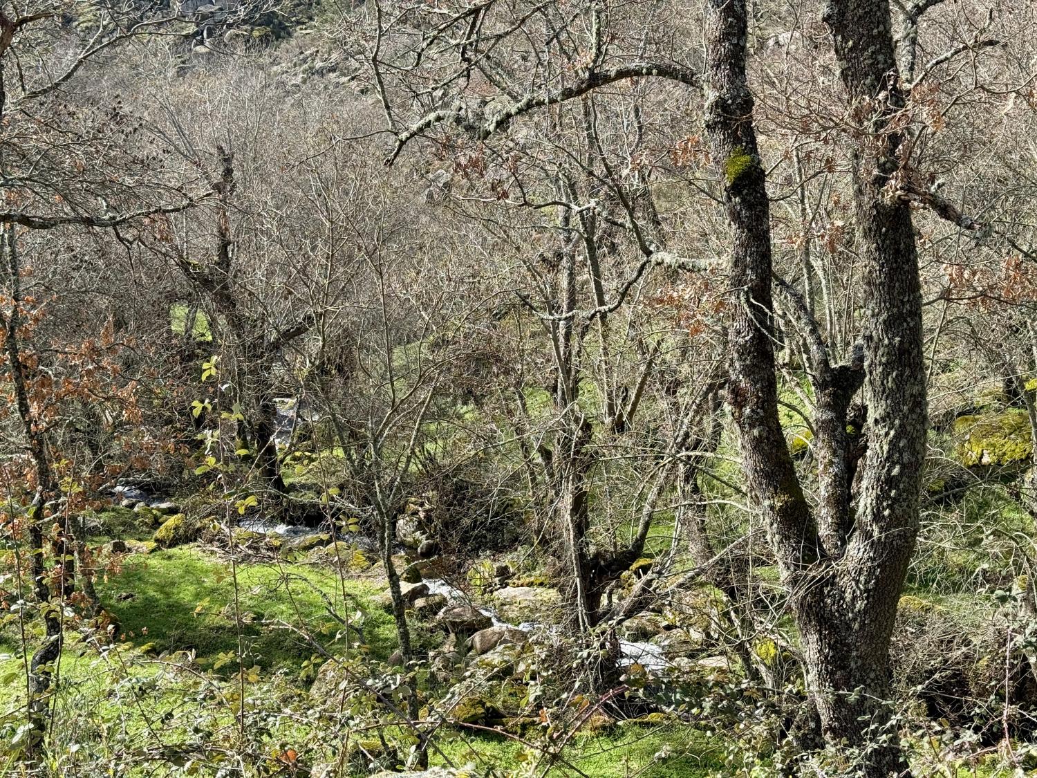  à vendre ferme Pousafoles do Bispo Sabugal 30