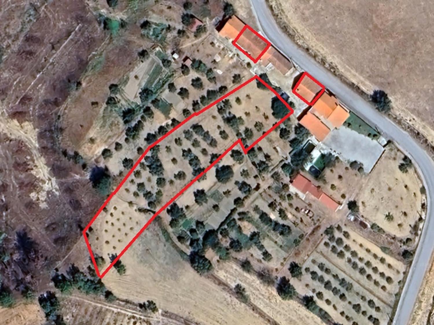  à vendre maison Gonçalo Guarda 14