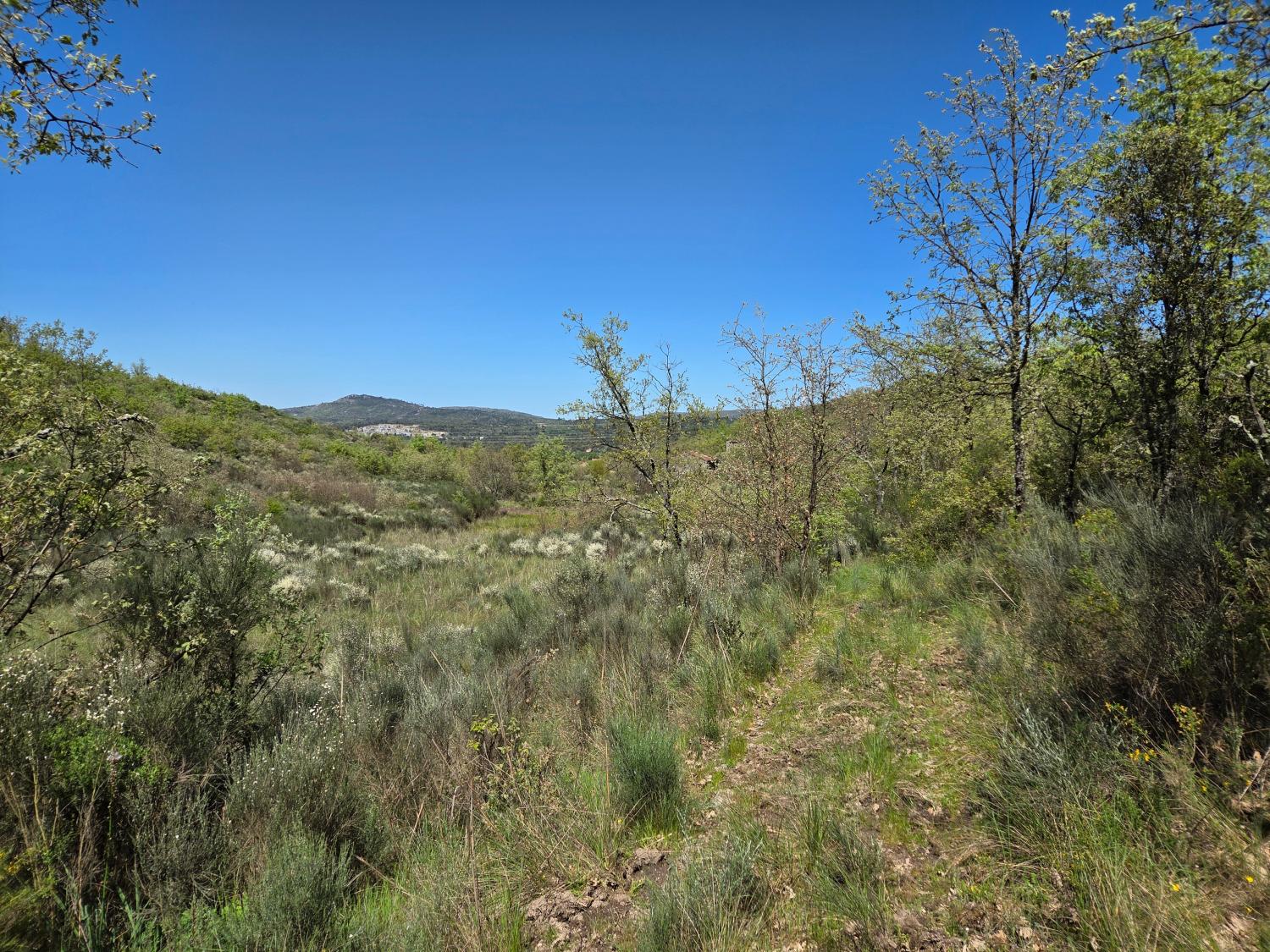  à vendre ferme Lajeosa do Mondego Celorico Da Beira 8