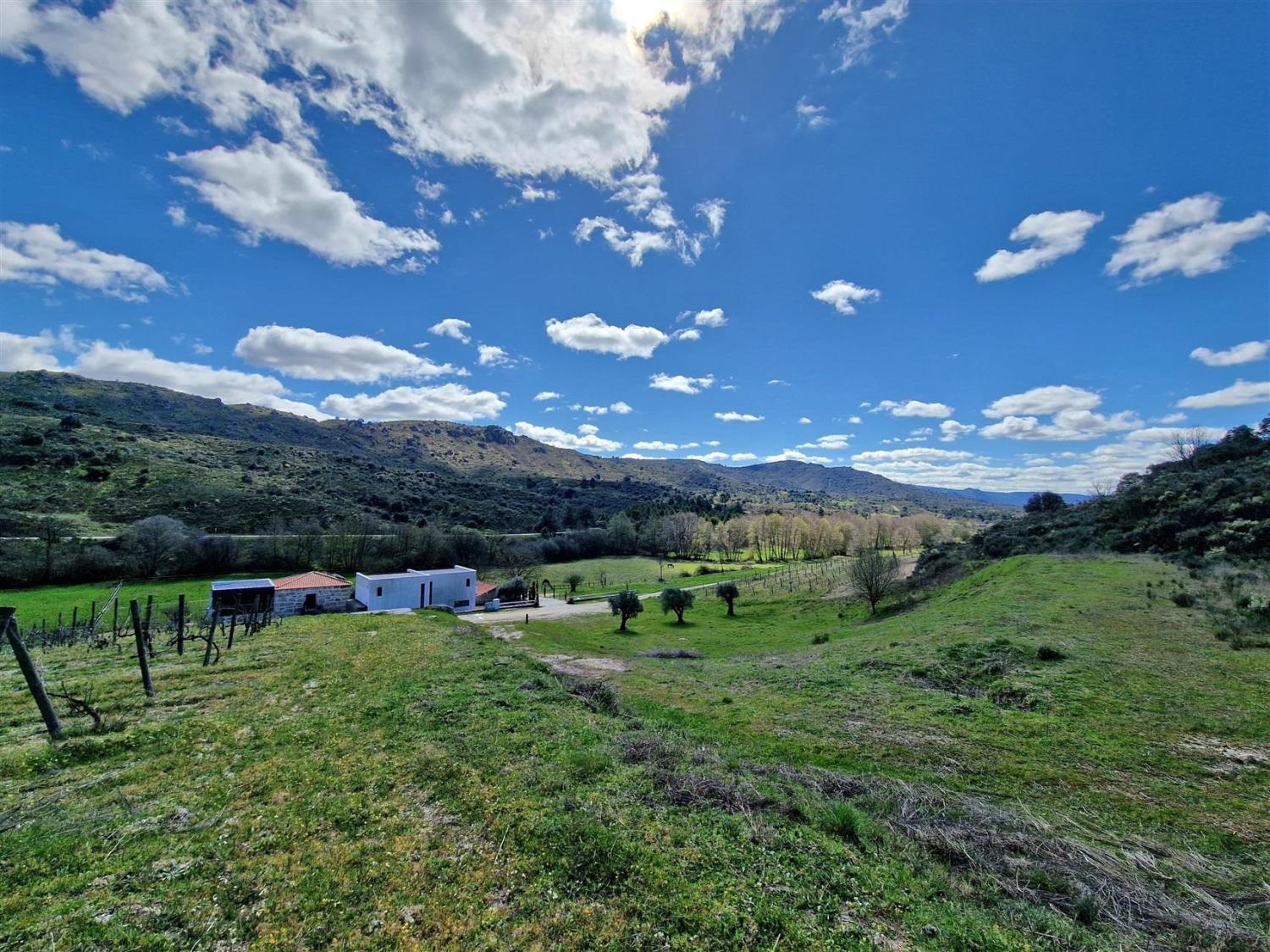  à vendre propriété Celorico da Beira Celorico Da Beira 18
