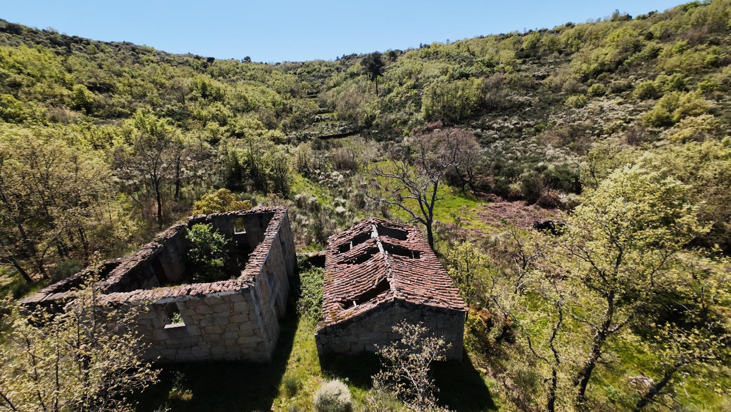 à vendre ferme Lajeosa do Mondego Celorico Da Beira 2