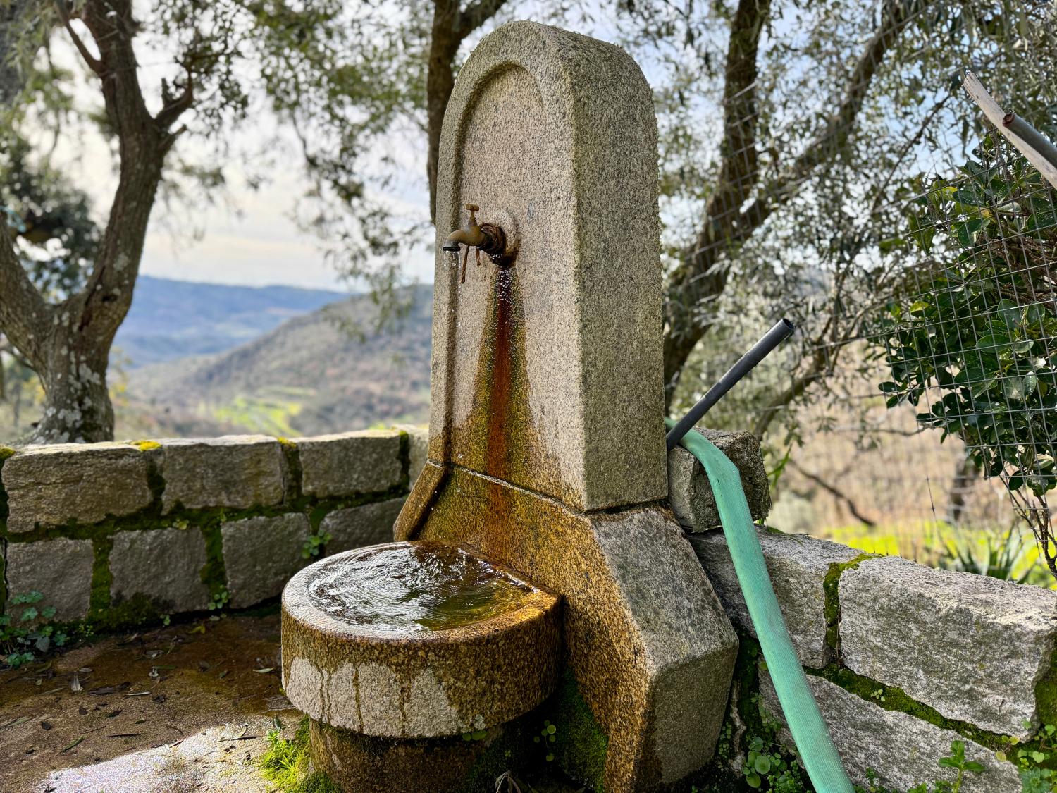  à vendre ferme Pousafoles do Bispo Sabugal 14