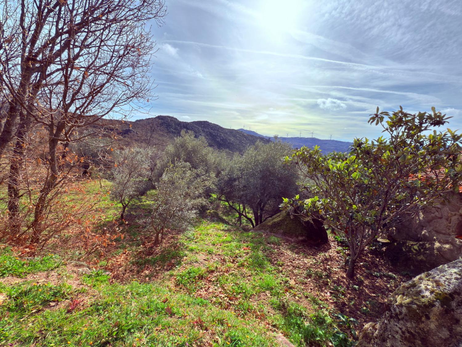  à vendre ferme Pousafoles do Bispo Sabugal 31