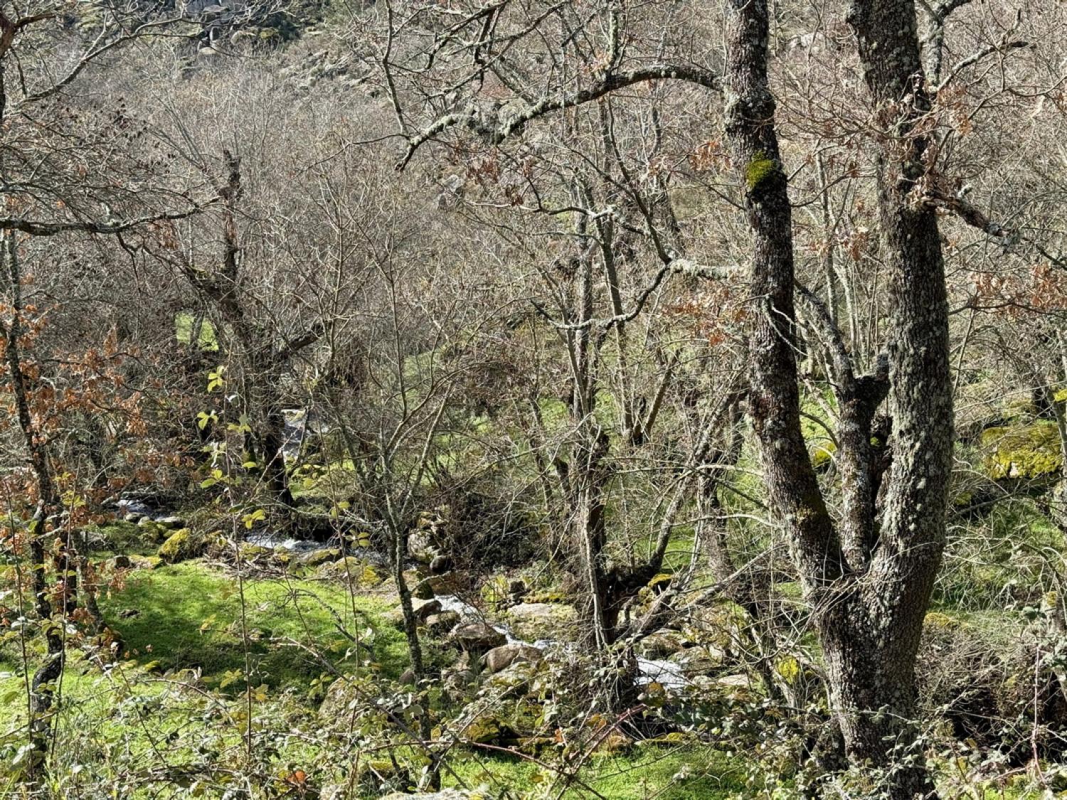  à vendre ferme Pousafoles do Bispo Sabugal 43