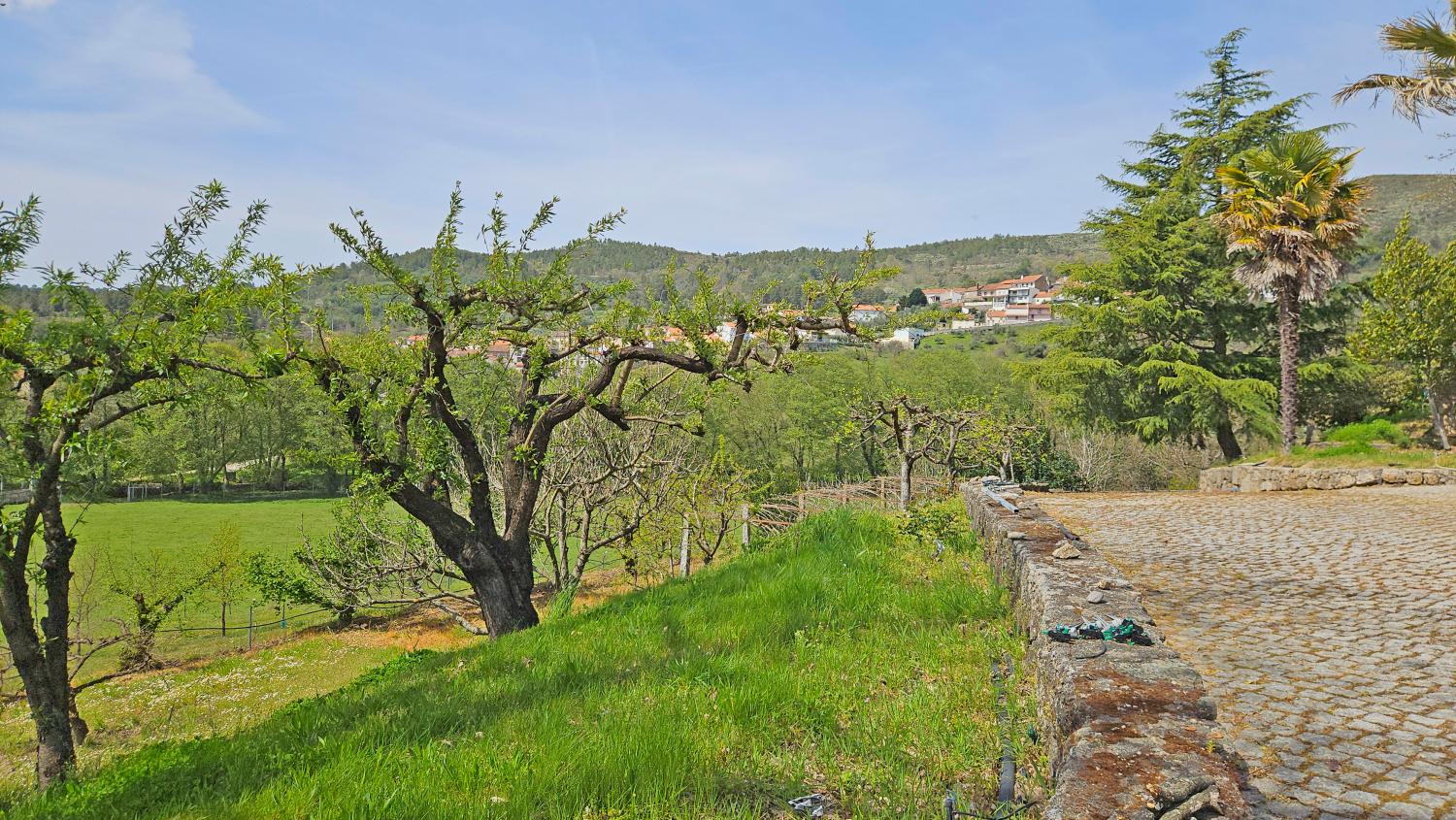  à vendre ferme Vela Guarda 8
