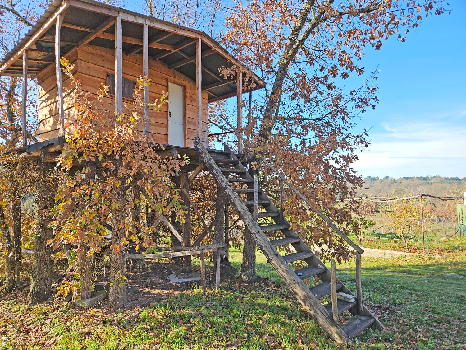  à vendre maison indépendant Casal de Cinza Guarda 6