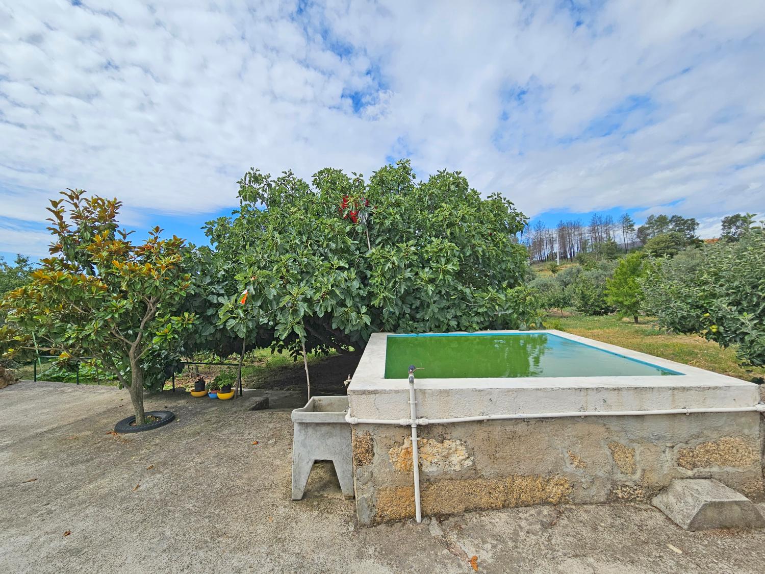  à vendre maison Gonçalo Guarda 7